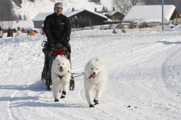 Lenk 2012 SM